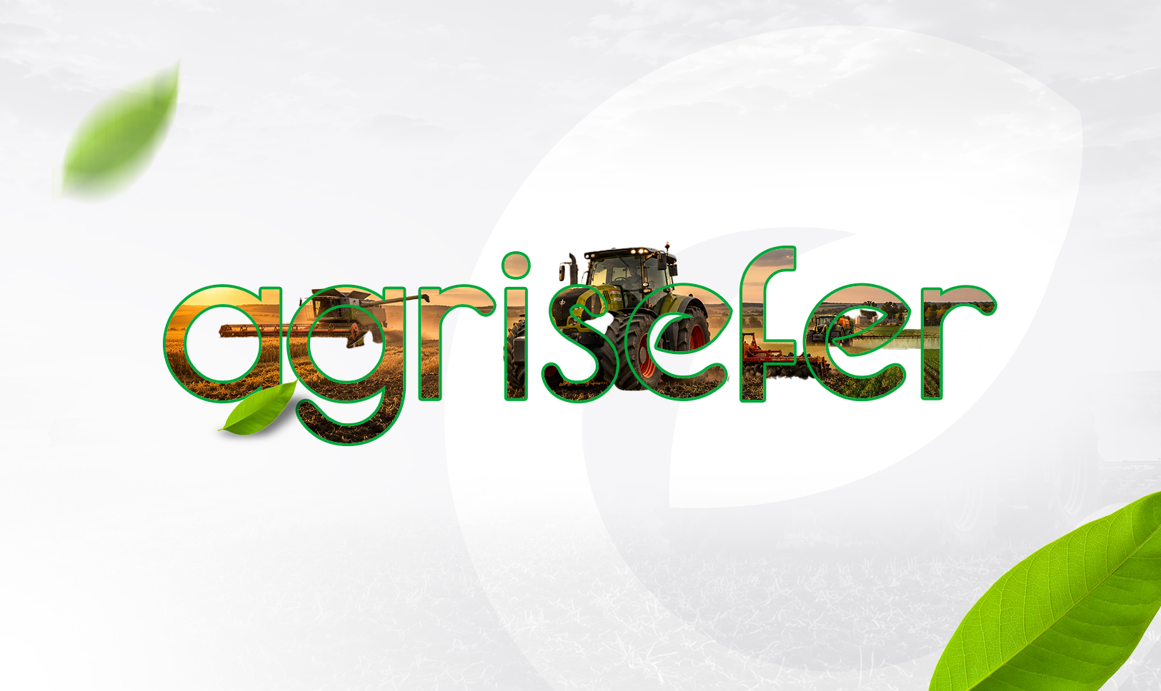 Agrisefer Hakkında